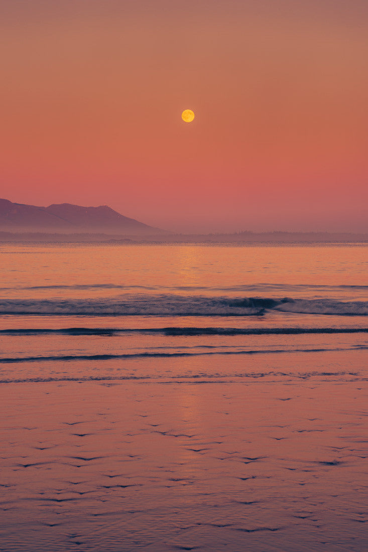 Salmon Moonrise, Schooner Cove