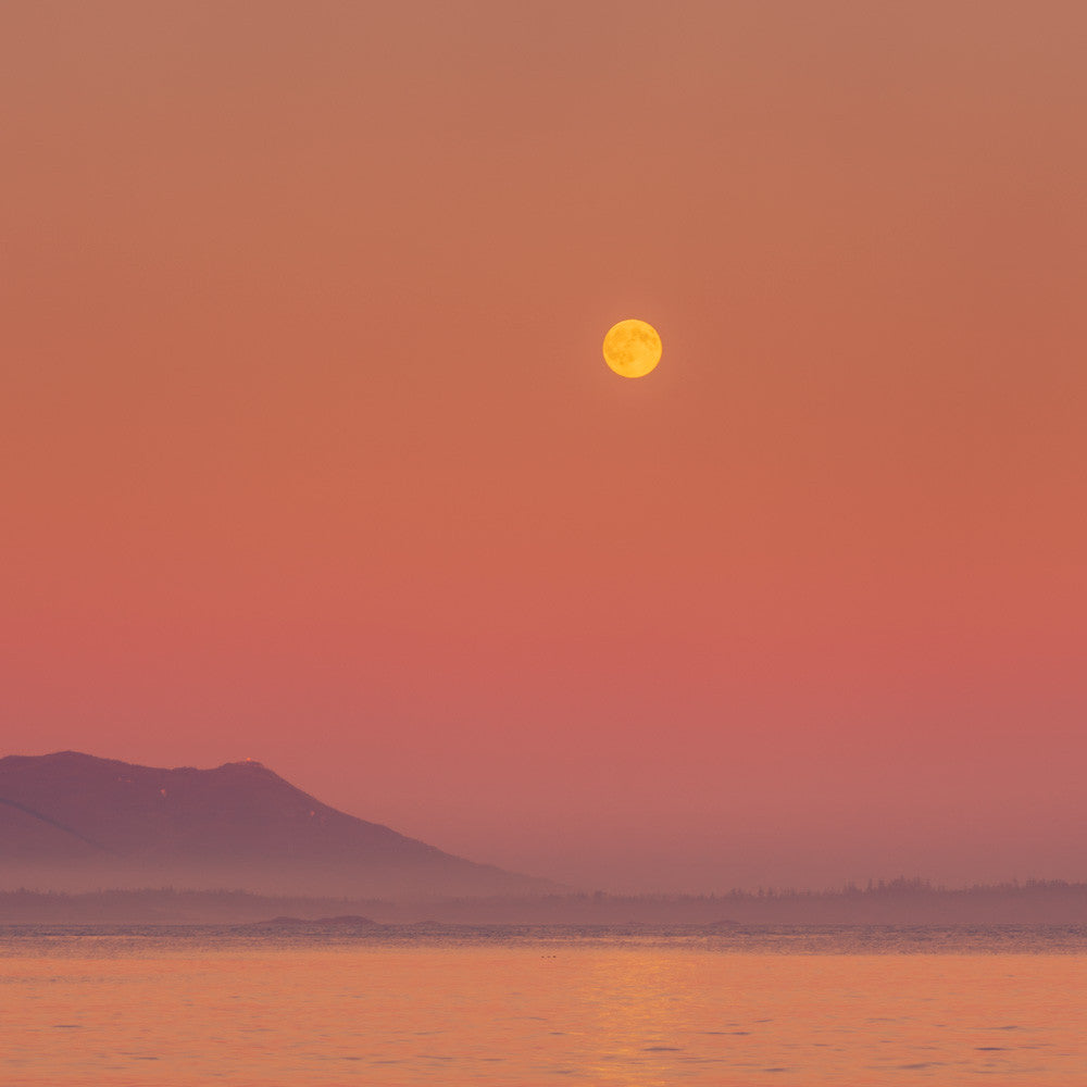 Salmon Moonrise, Schooner Cove