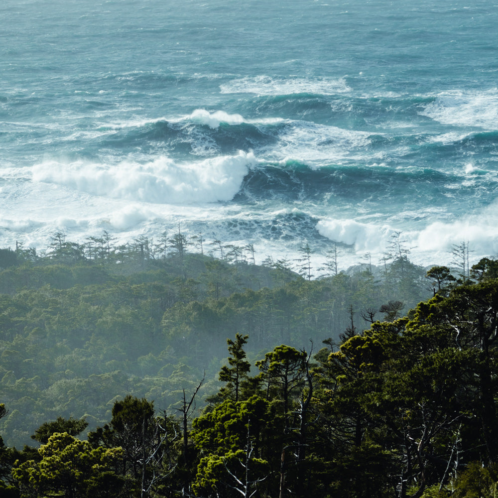 Set Waves, January Swell