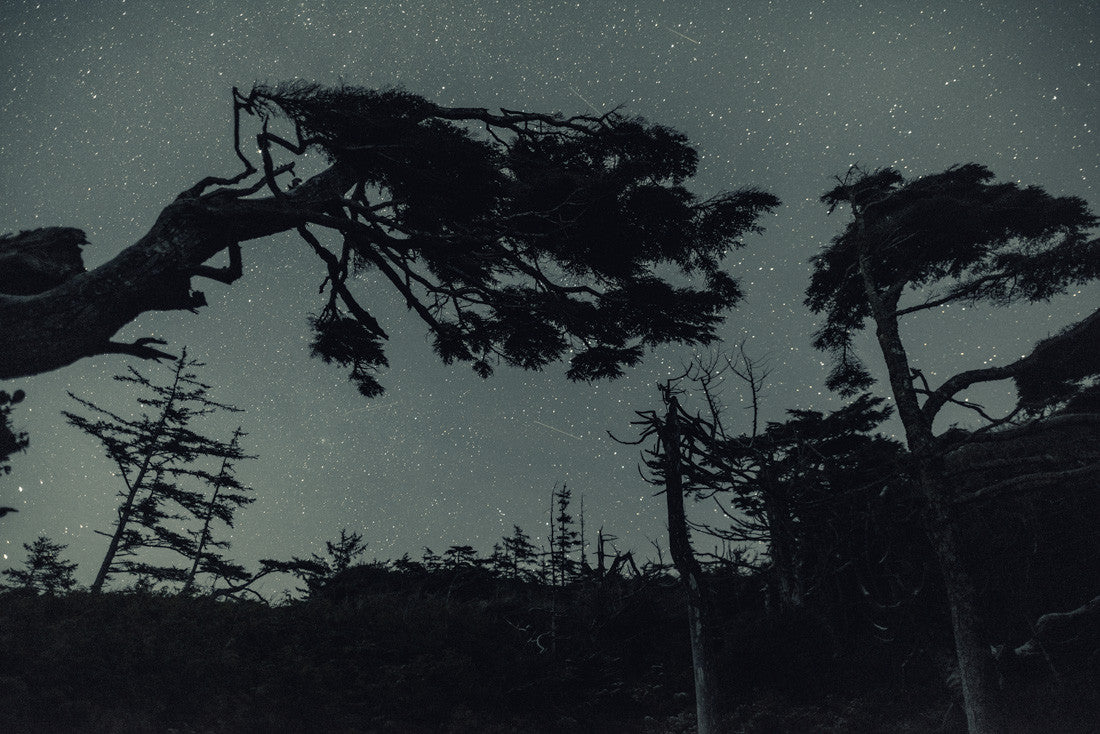 Starry Night, Tofino, BC