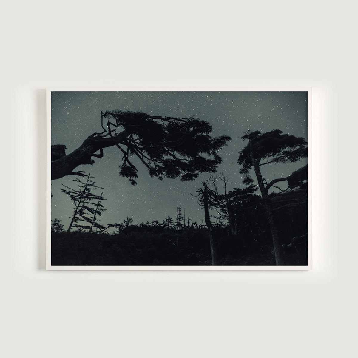 Starry Night, Tofino, BC