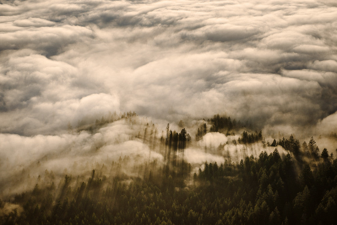 Sunshine Coast Aerial I