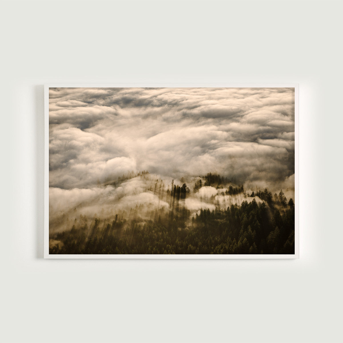 Sunshine Coast Aerial I