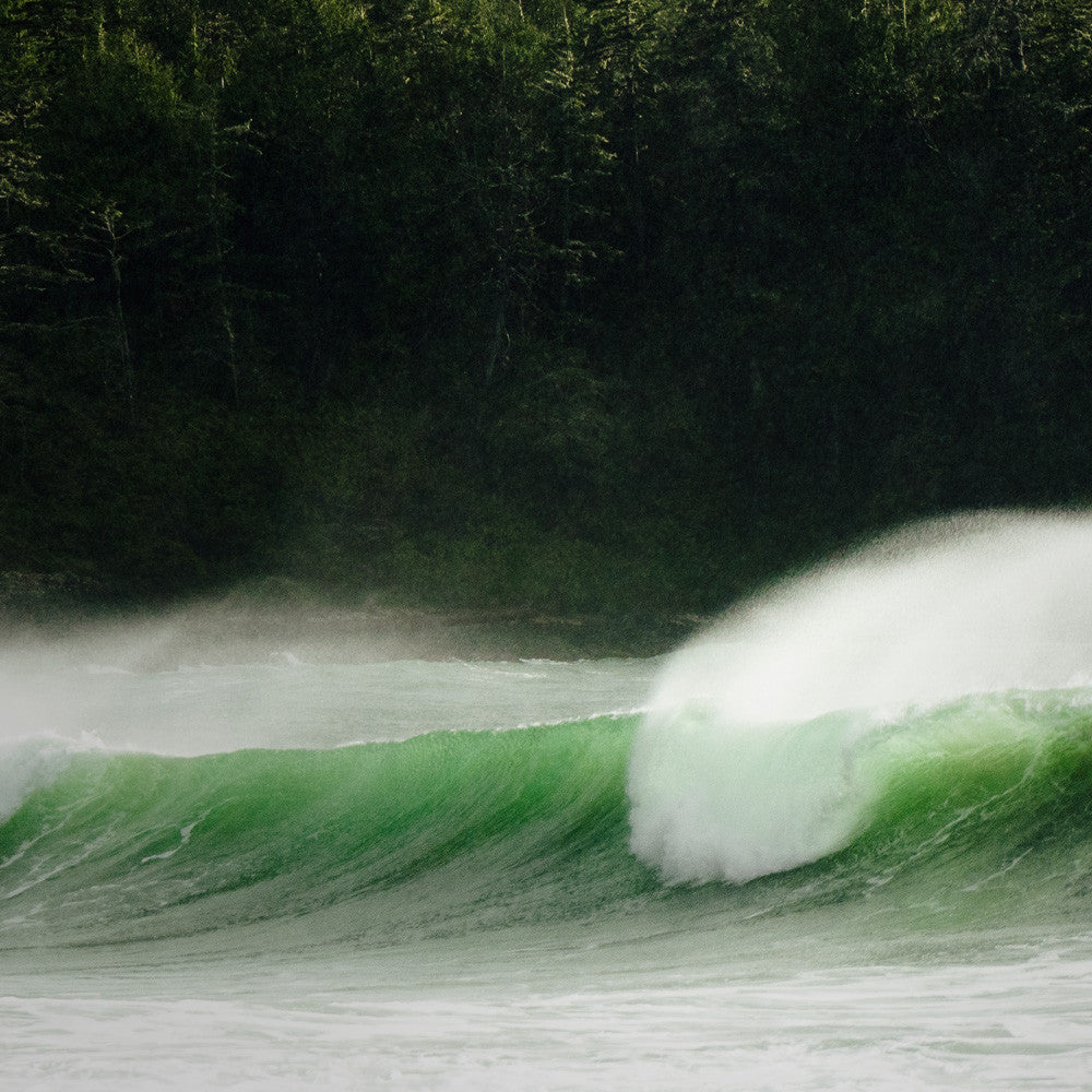 Forest & Waves