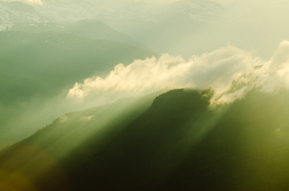 Coast Mountain Rays