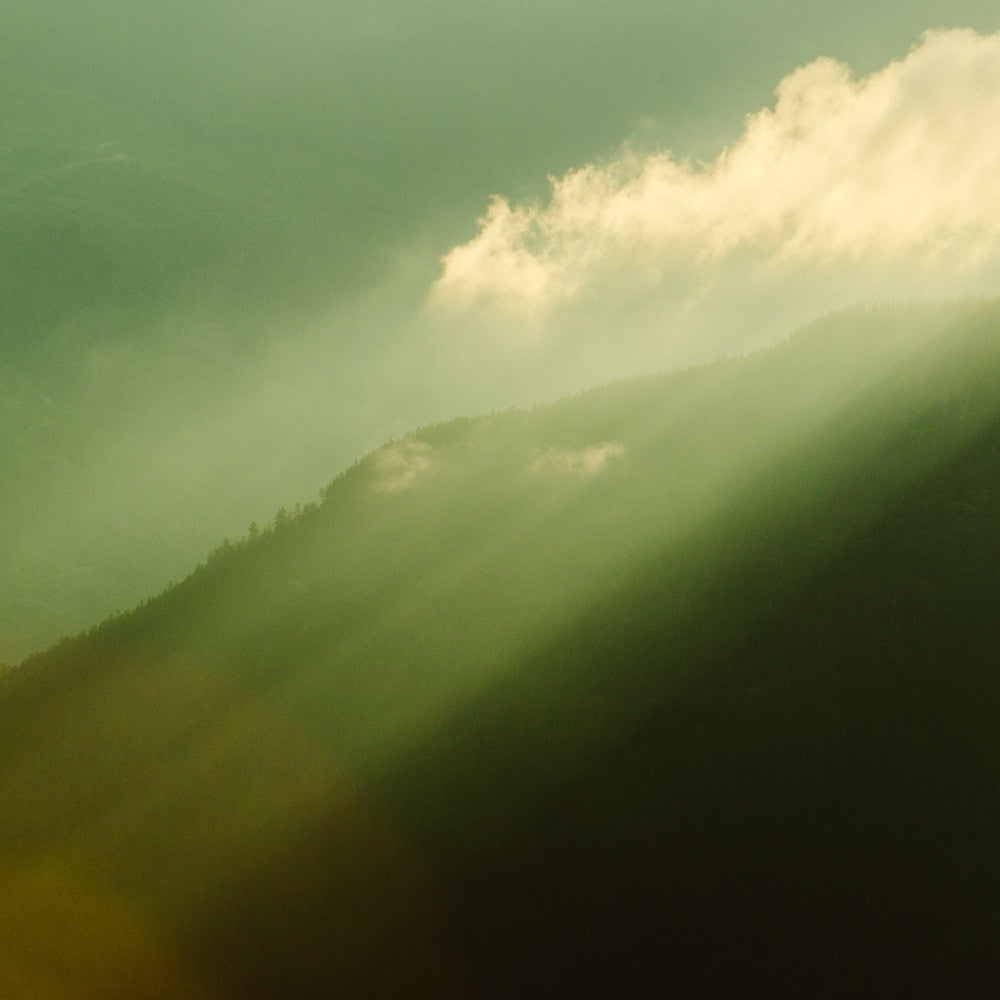 Coast Mountain Rays