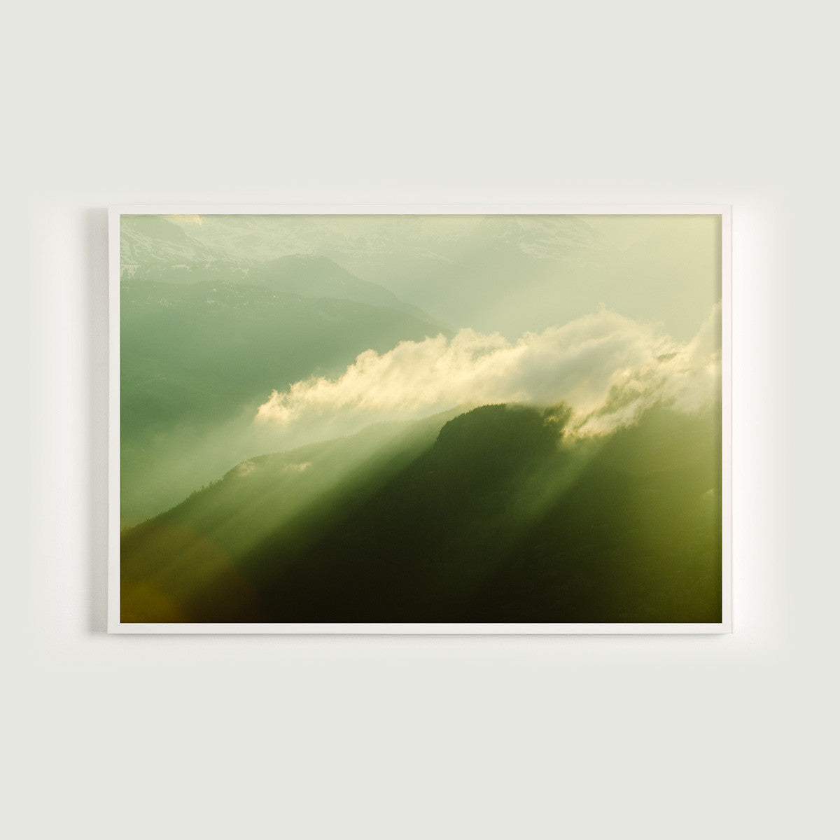 Coast Mountain Rays