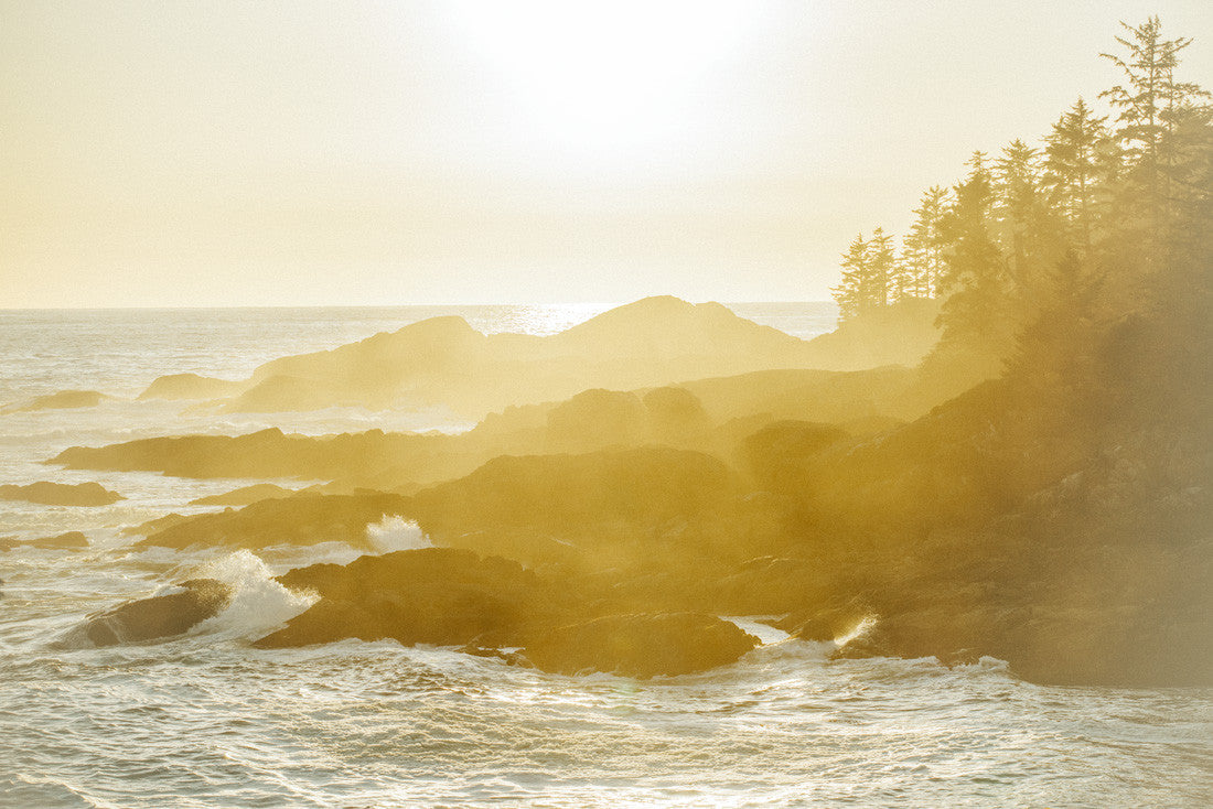 Wild Pacific Light