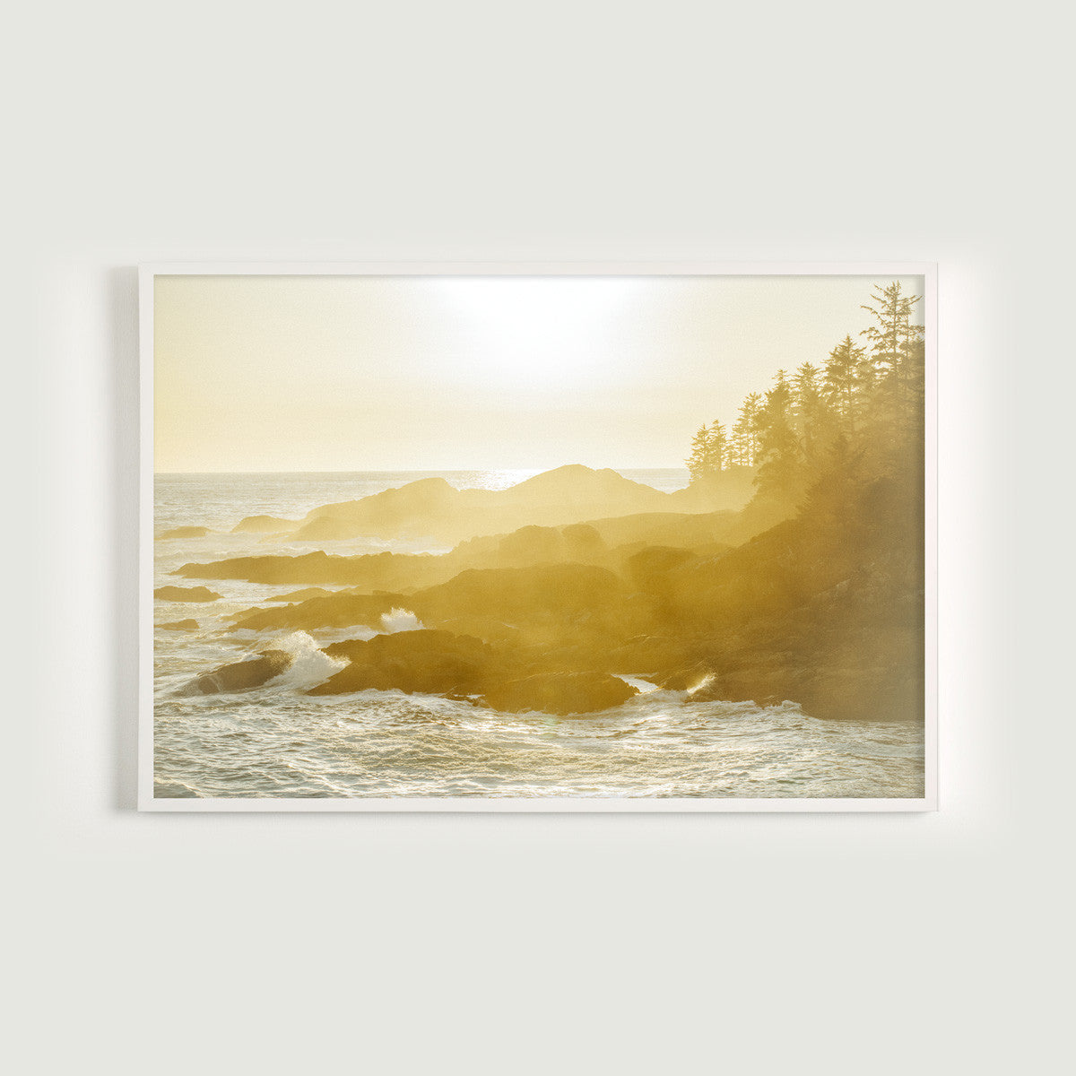 Wild Pacific Light