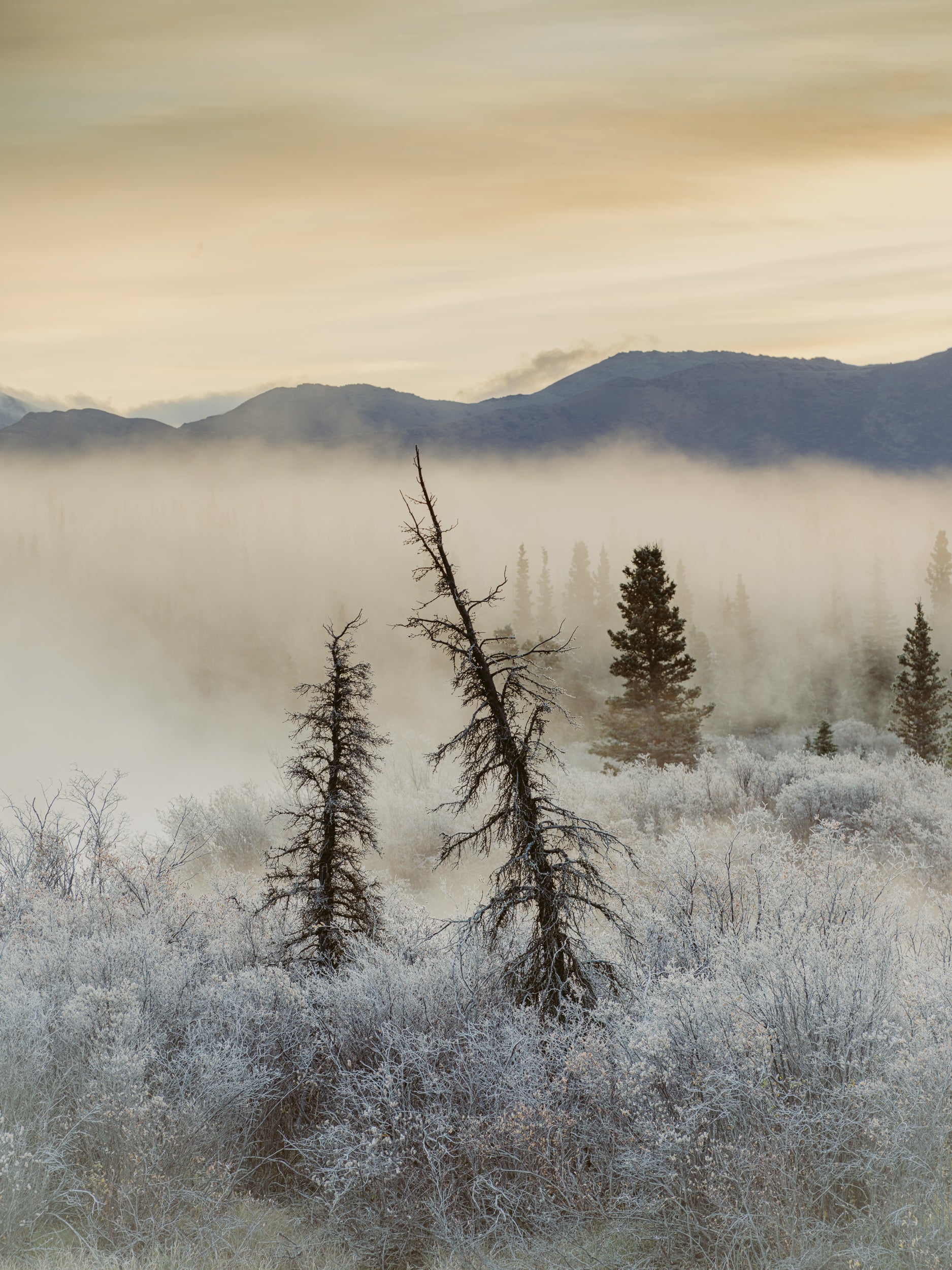 Permafrost, Kluane National Park
