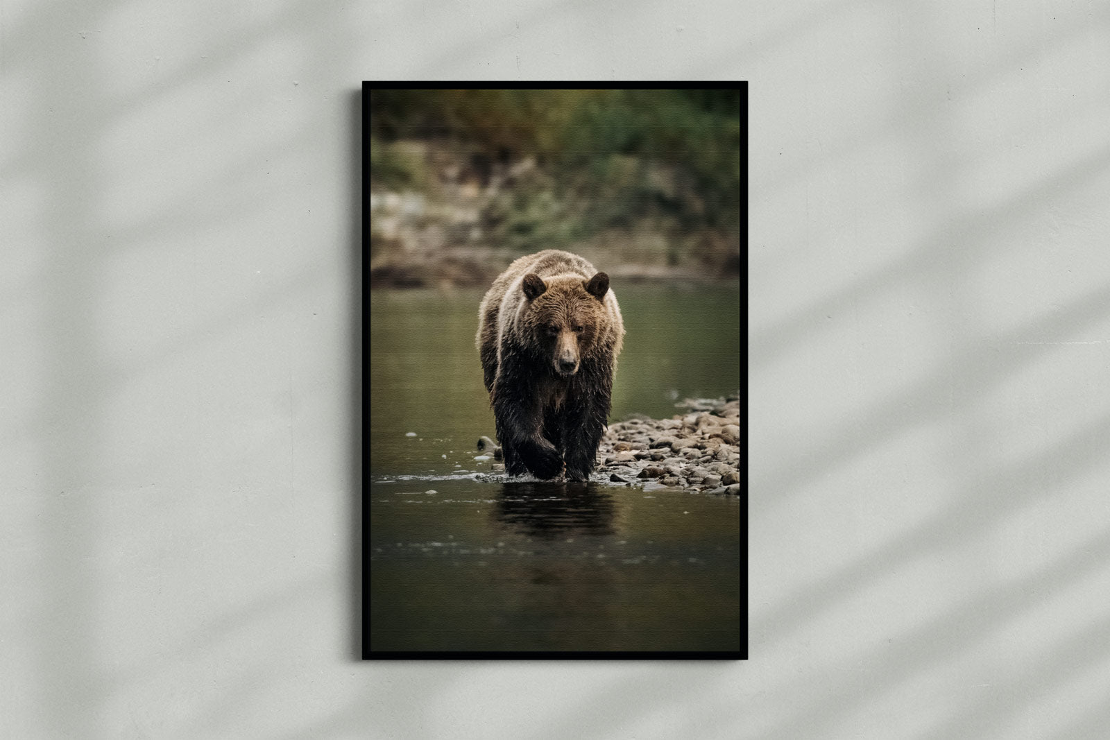 River Hunter, Bella Coola, Coastal Grizzly