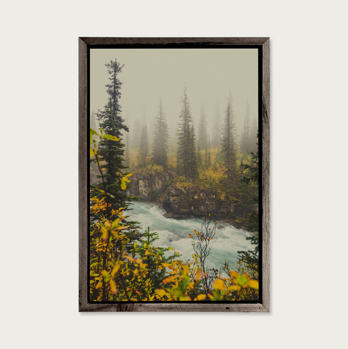 Autumn Mist, Mt. Robson