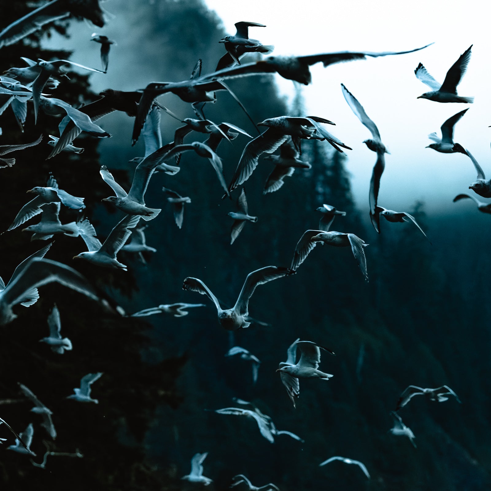 Exodus