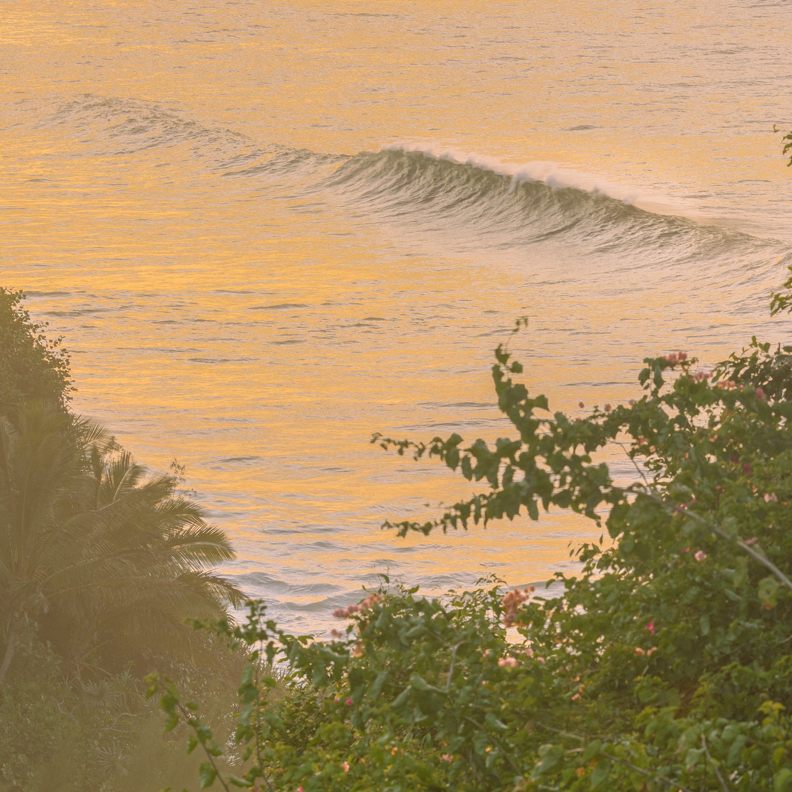 Hanalei Sunset