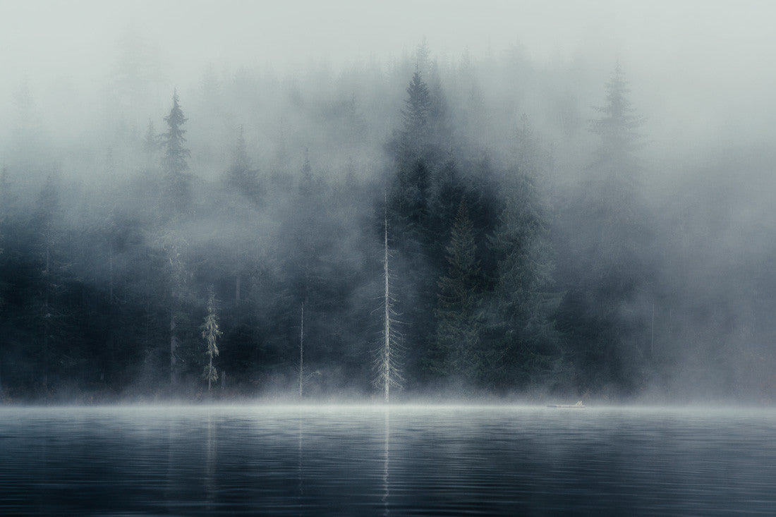 Misty Autumn Morning, Lost Lake, Whistler