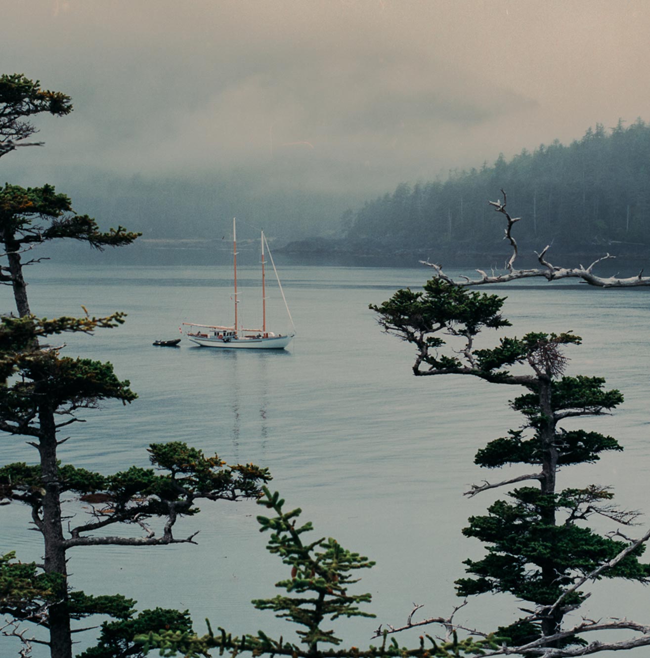 Misty Morning, Gwaii Haanas