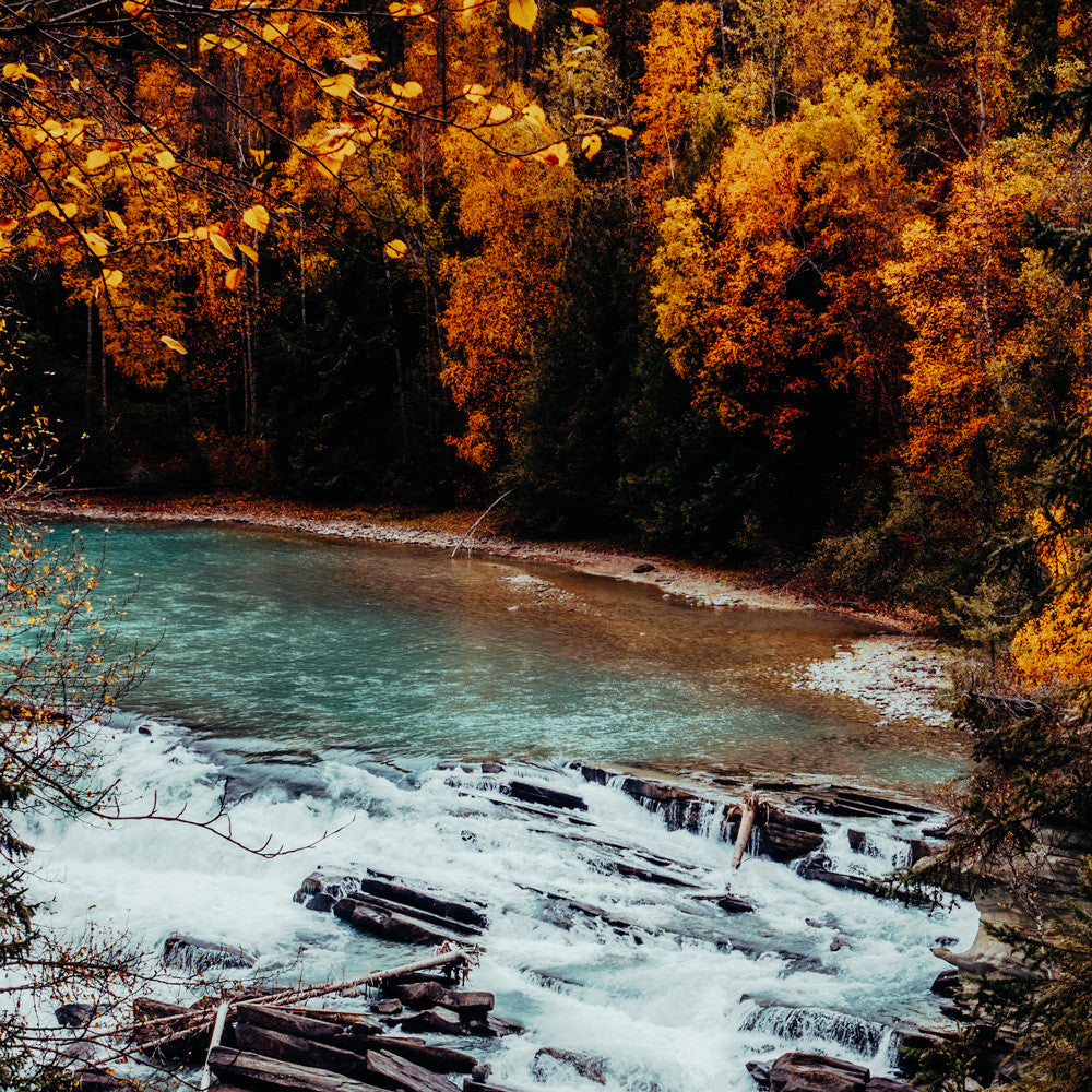 Rearguard Falls III